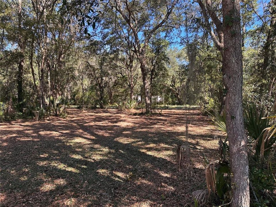 待售: $50,000 (0.73 acres)