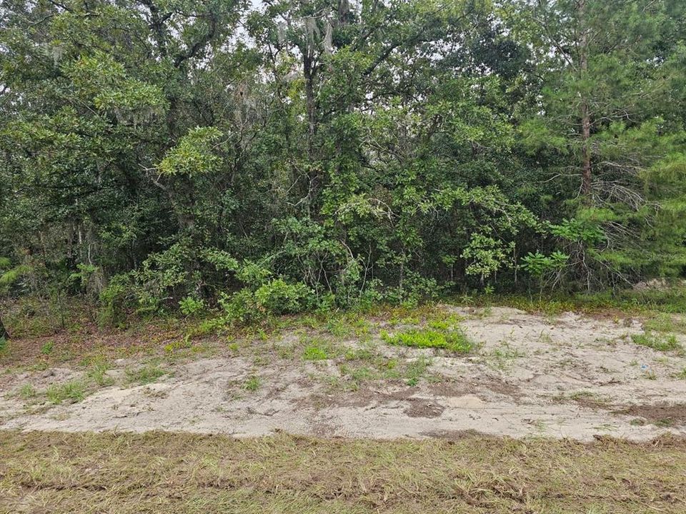 На продажу: $55,000 (0.55 acres)