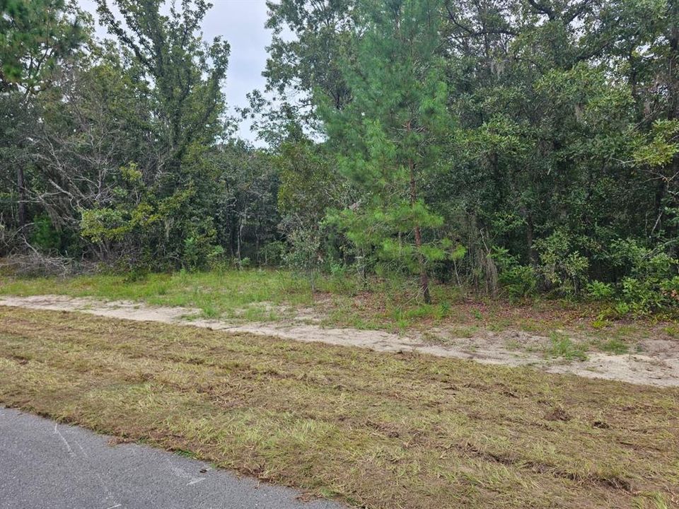 На продажу: $55,000 (0.55 acres)