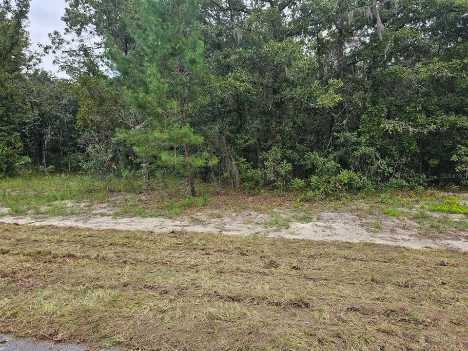 На продажу: $55,000 (0.55 acres)
