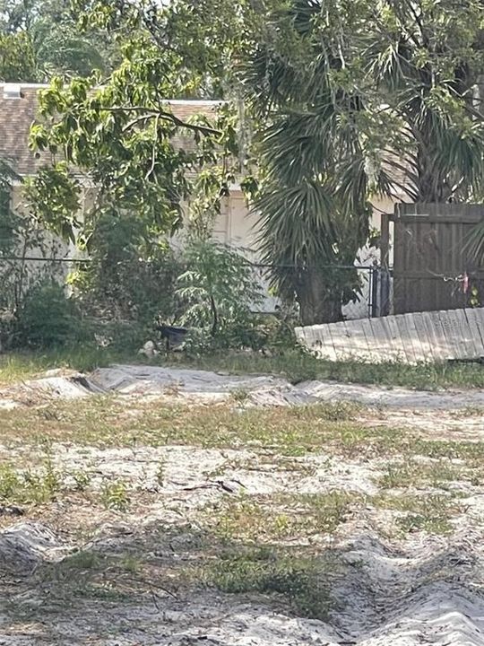 Activo con contrato: $120,000 (0.19 acres)