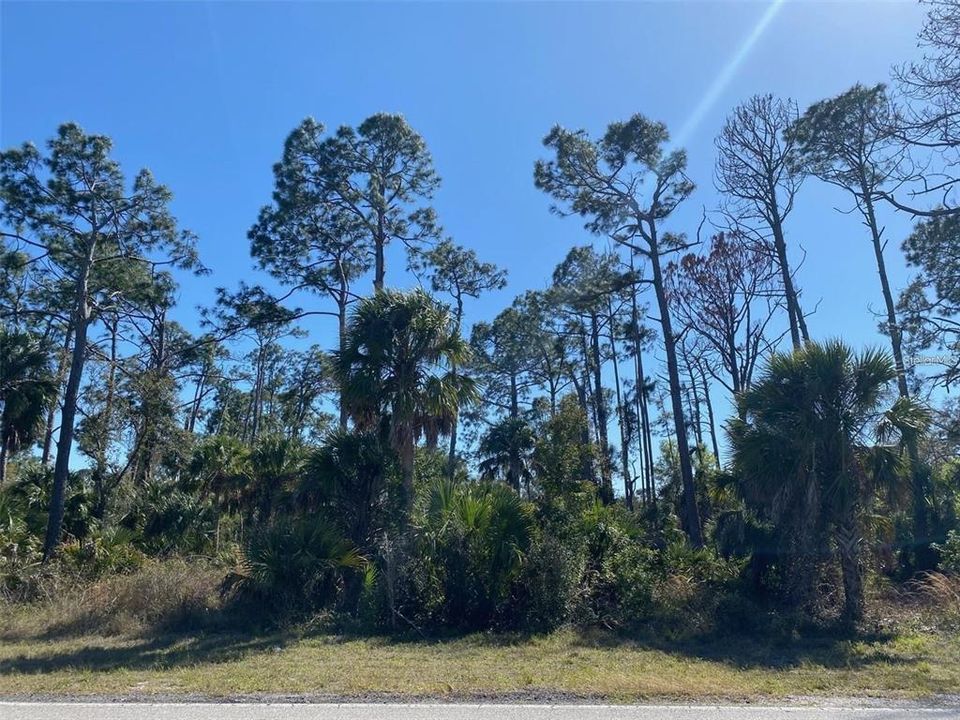 For Sale: $50,000 (0.46 acres)