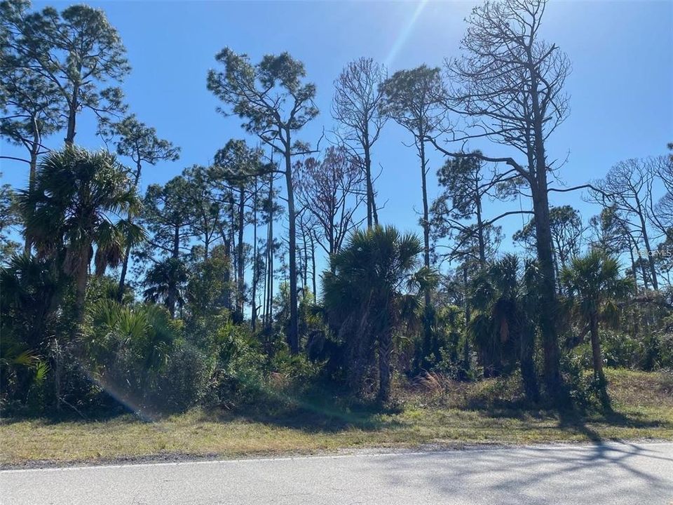 For Sale: $50,000 (0.46 acres)