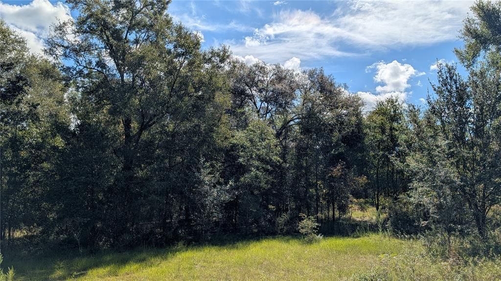 На продажу: $174,900 (5.00 acres)