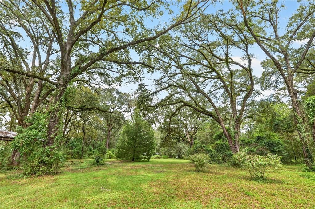 For Sale: $289,000 (2 beds, 1 baths, 1232 Square Feet)