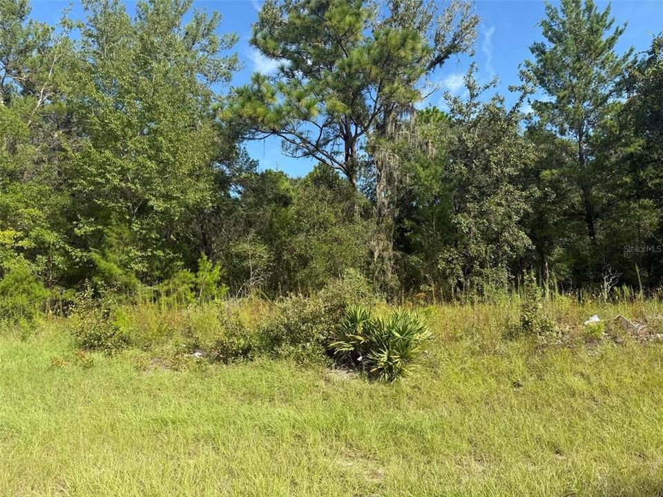 For Sale: $29,900 (0.26 acres)
