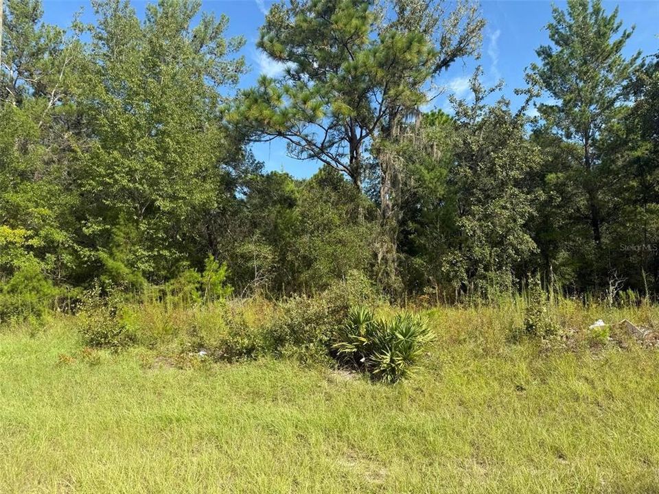 For Sale: $29,900 (0.26 acres)