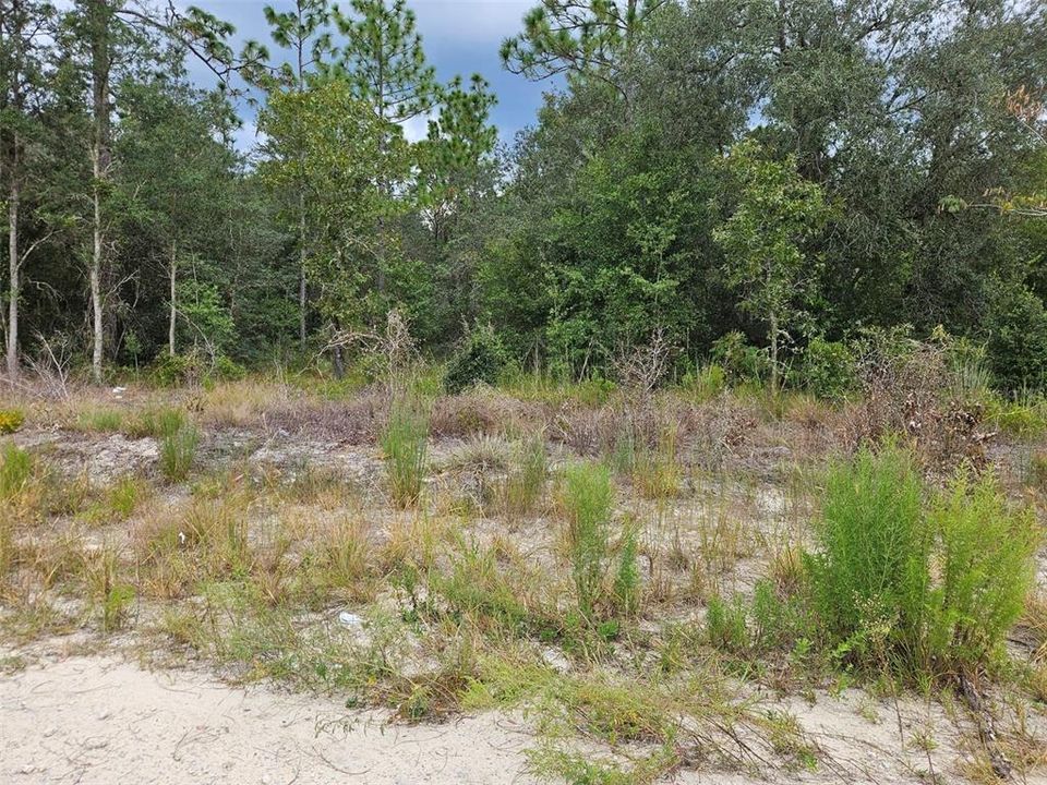 En Venta: $7,900 (0.24 acres)