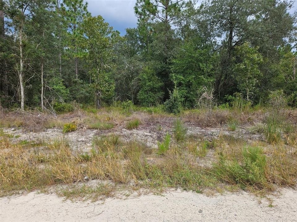 En Venta: $7,900 (0.24 acres)