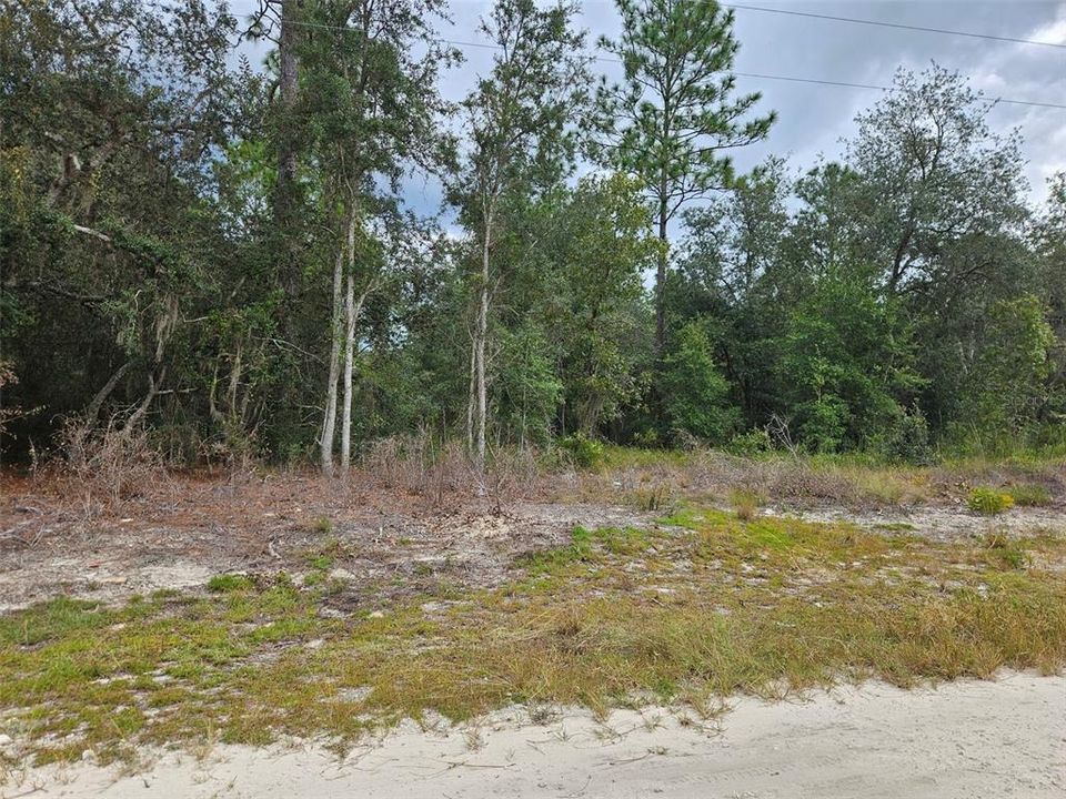 En Venta: $7,900 (0.24 acres)