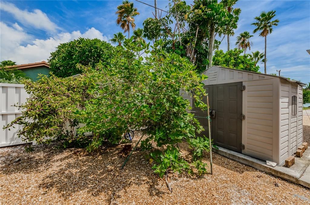 For Rent: $3,600 (3 beds, 2 baths, 1618 Square Feet)