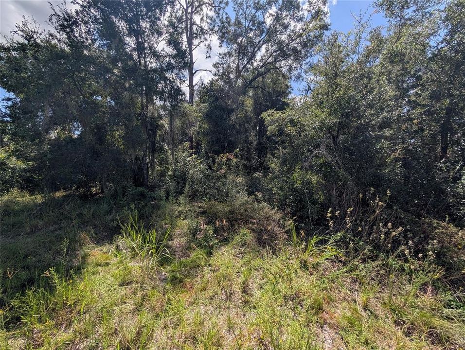 На продажу: $89,990 (2.00 acres)
