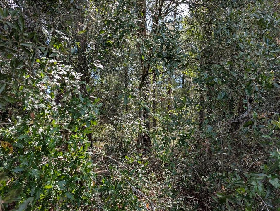 На продажу: $89,990 (2.00 acres)