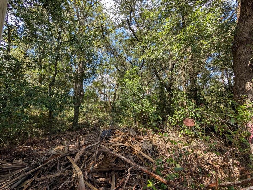 На продажу: $89,990 (2.00 acres)