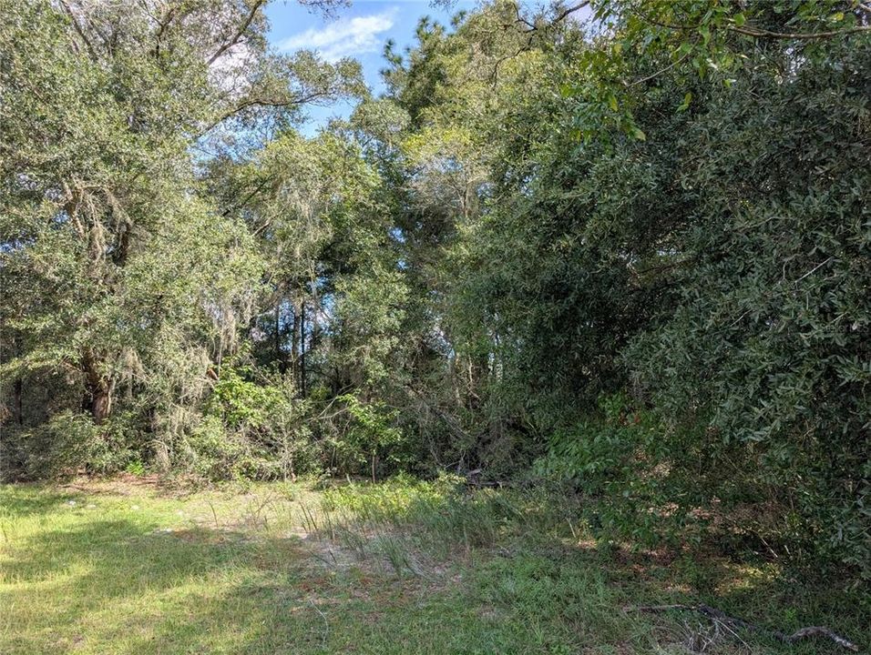 На продажу: $89,990 (2.00 acres)