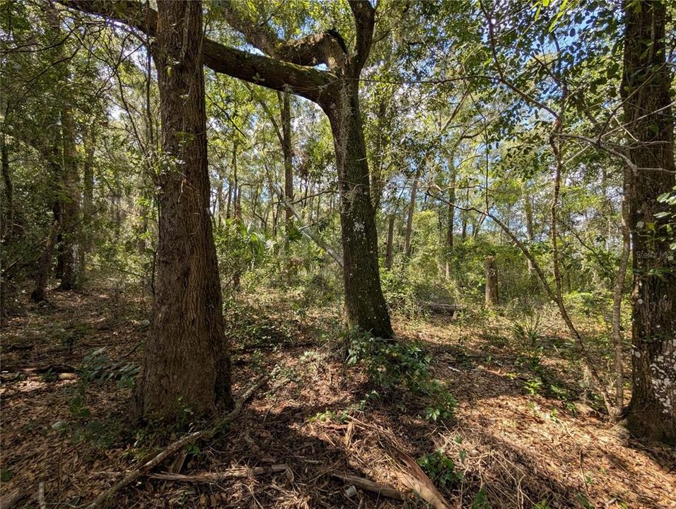 На продажу: $89,990 (2.00 acres)