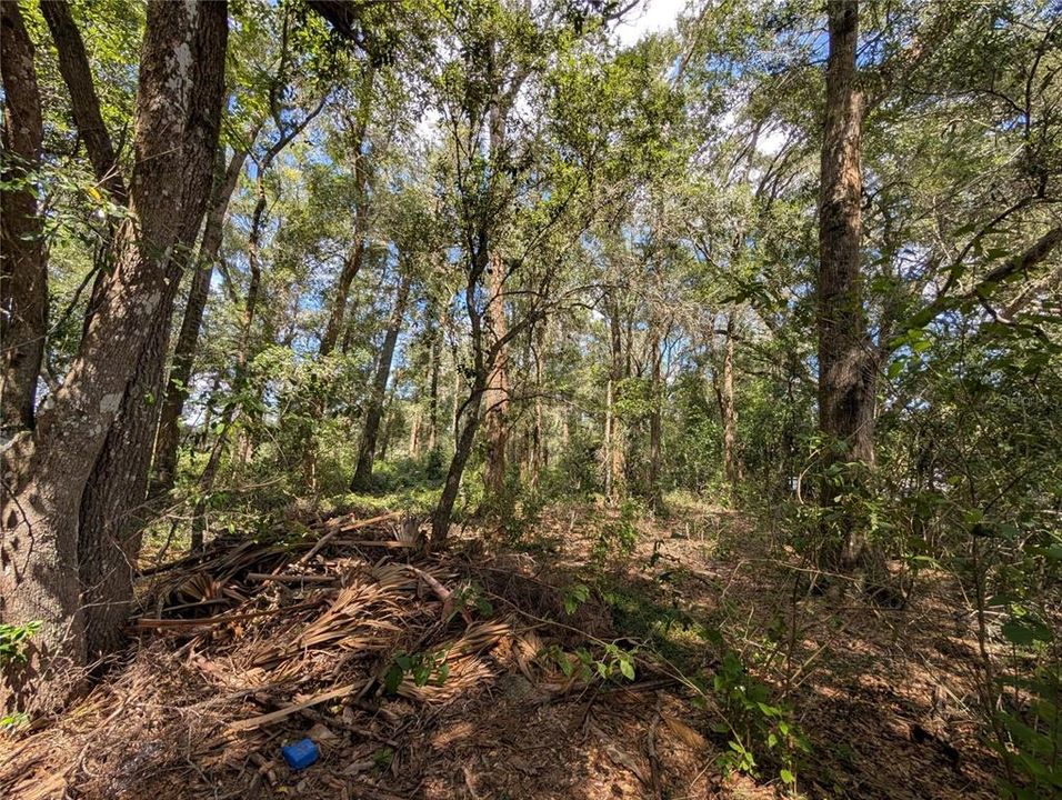 На продажу: $89,990 (2.00 acres)