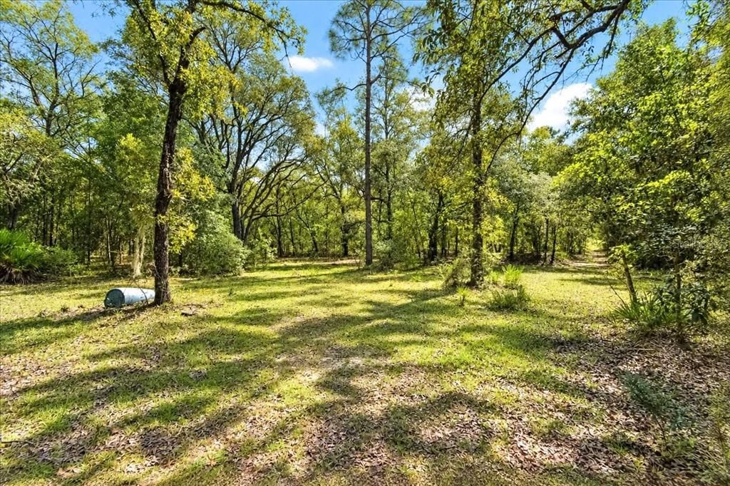 На продажу: $350,000 (32.77 acres)