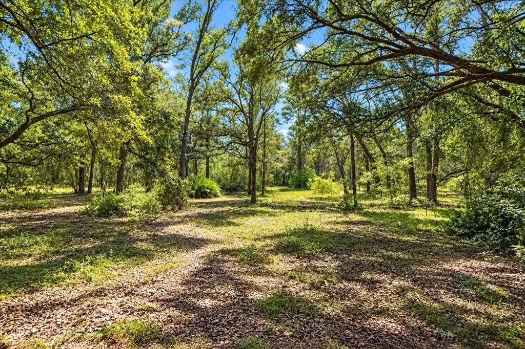 На продажу: $350,000 (32.77 acres)