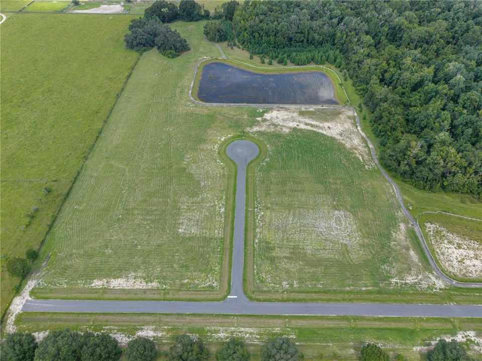 For Sale: $200,000 (1.18 acres)