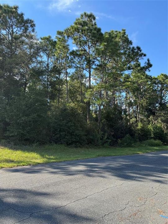 待售: $65,000 (1.00 acres)
