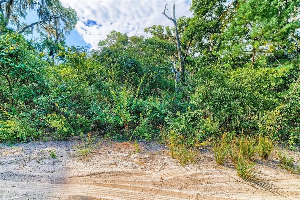 На продажу: $25,000 (0.57 acres)