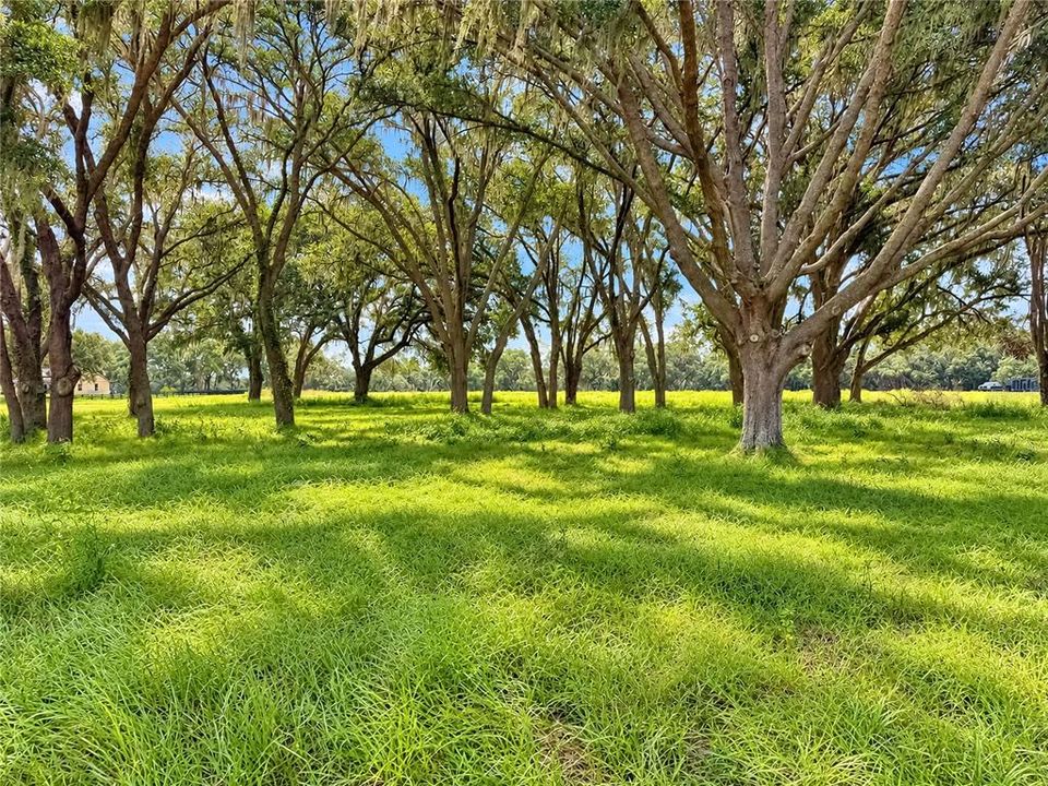 En Venta: $1,095,000 (20.12 acres)