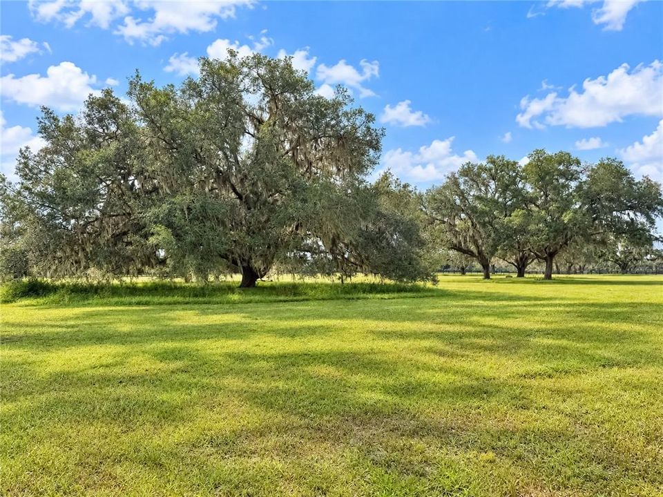 En Venta: $1,095,000 (20.12 acres)