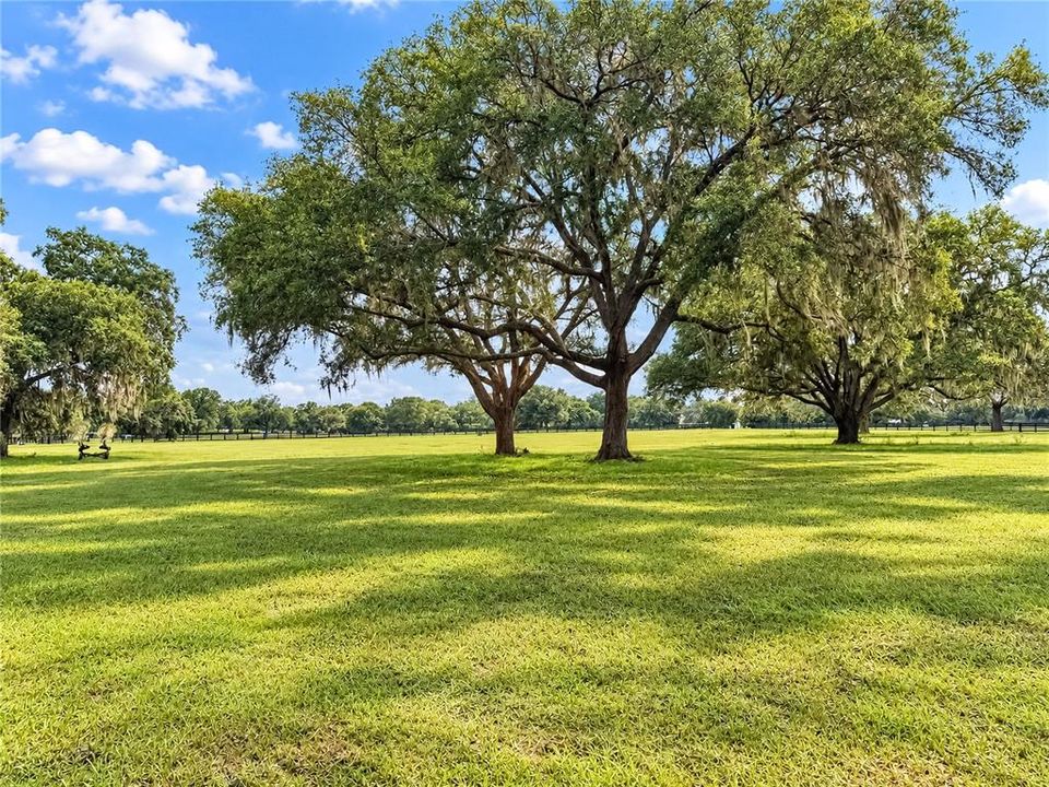 En Venta: $1,095,000 (20.12 acres)