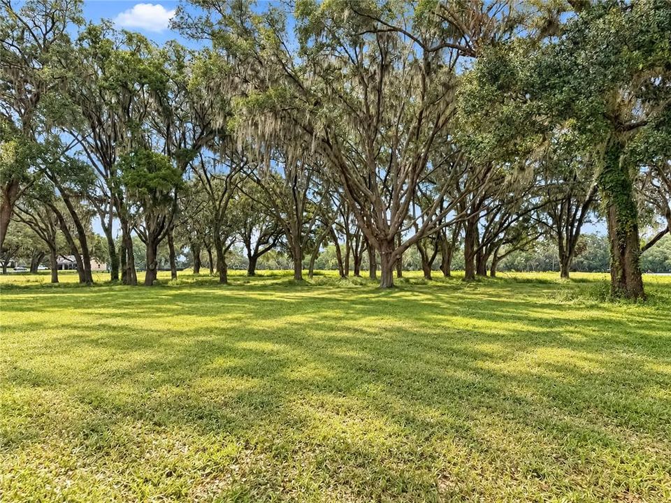 En Venta: $1,095,000 (20.12 acres)