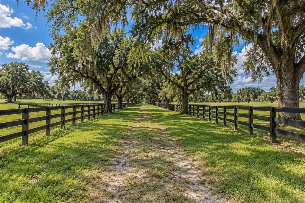 En Venta: $1,095,000 (20.12 acres)