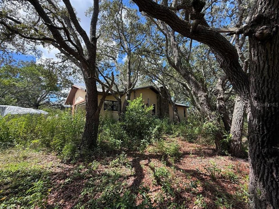 待售: $249,000 (3 贝兹, 2 浴室, 1818 平方英尺)