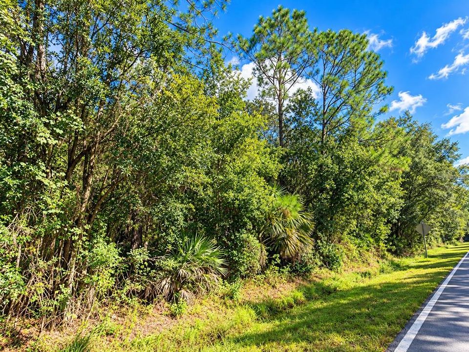 For Sale: $289,999 (8.95 acres)