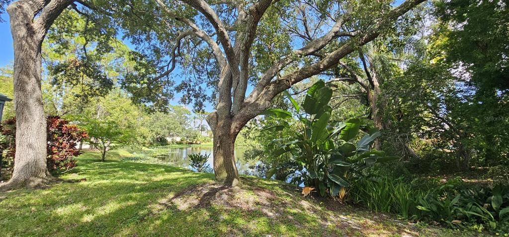 For Sale: $419,900 (2 beds, 2 baths, 1764 Square Feet)