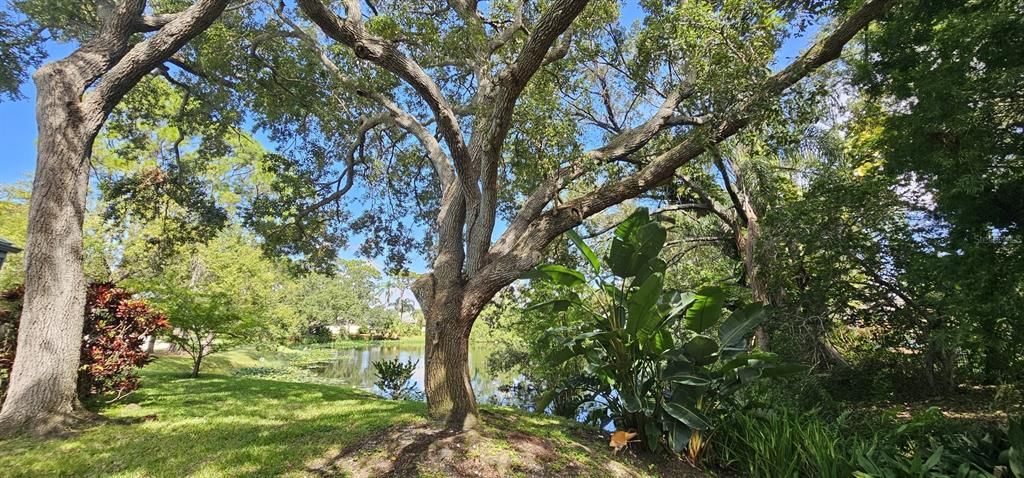 For Sale: $419,900 (2 beds, 2 baths, 1764 Square Feet)
