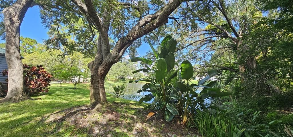 For Sale: $419,900 (2 beds, 2 baths, 1764 Square Feet)