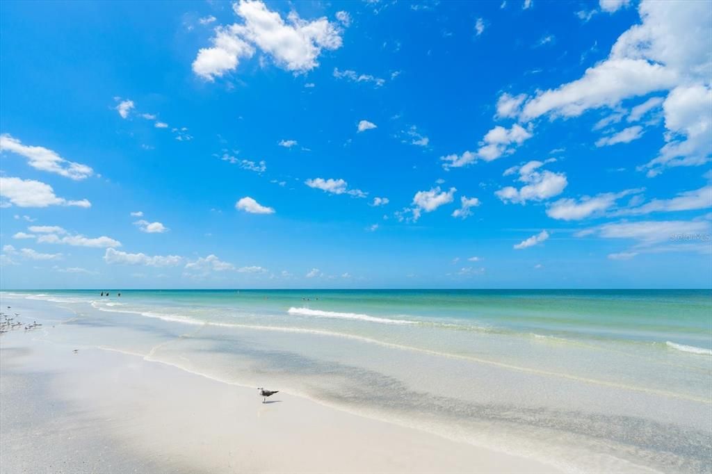 For Sale: $5,395,000 (5 beds, 4 baths, 3037 Square Feet)
