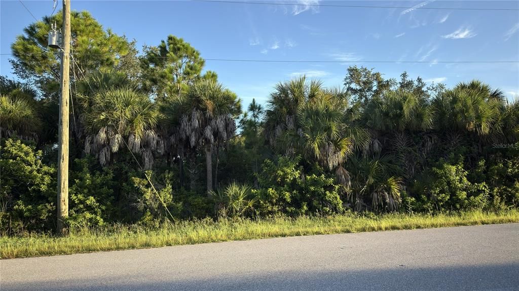 For Sale: $15,000 (0.23 acres)