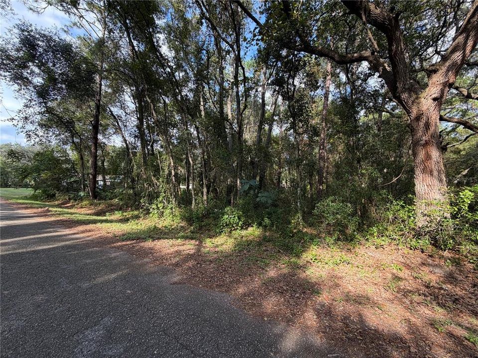For Sale: $13,900 (0.28 acres)