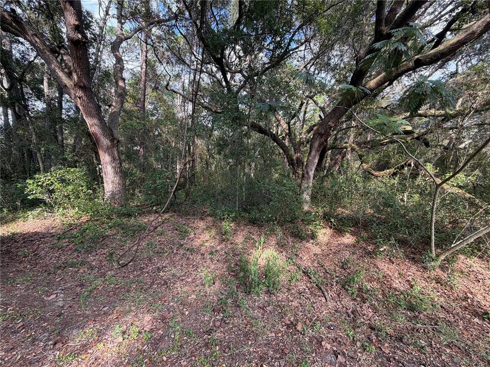 For Sale: $13,900 (0.28 acres)