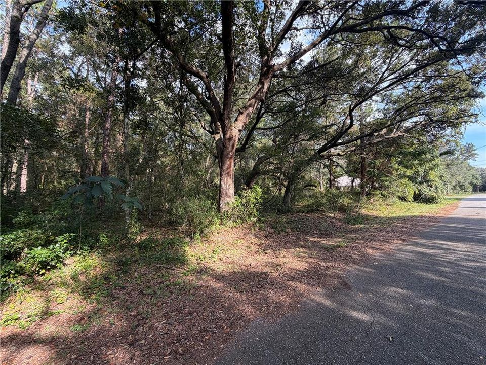 For Sale: $13,900 (0.28 acres)