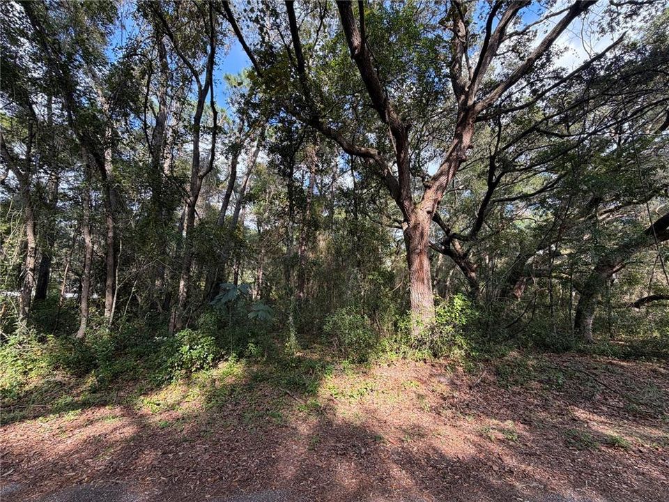 For Sale: $13,900 (0.28 acres)