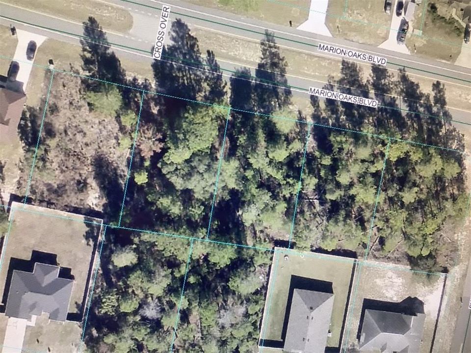 For Sale: $100,000 (0.46 acres)