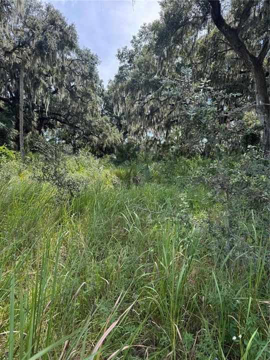 На продажу: $300,000 (5.92 acres)