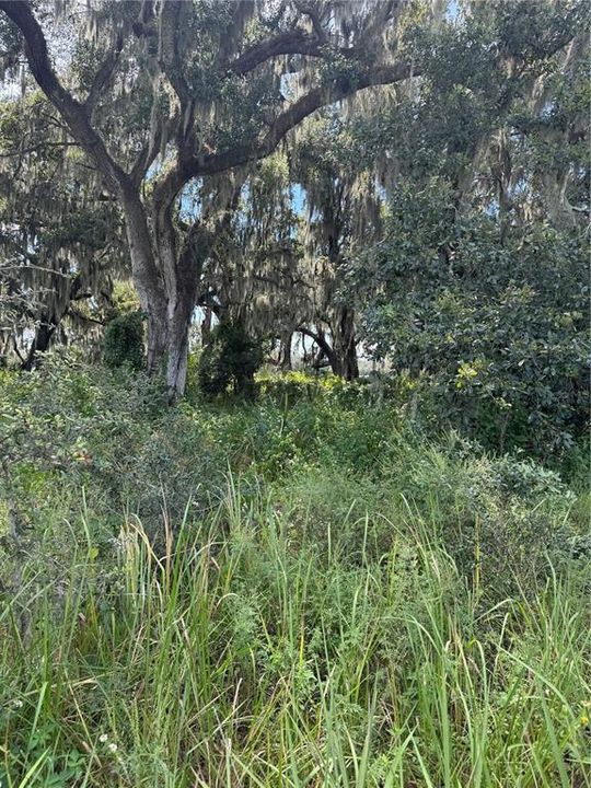 На продажу: $300,000 (5.92 acres)