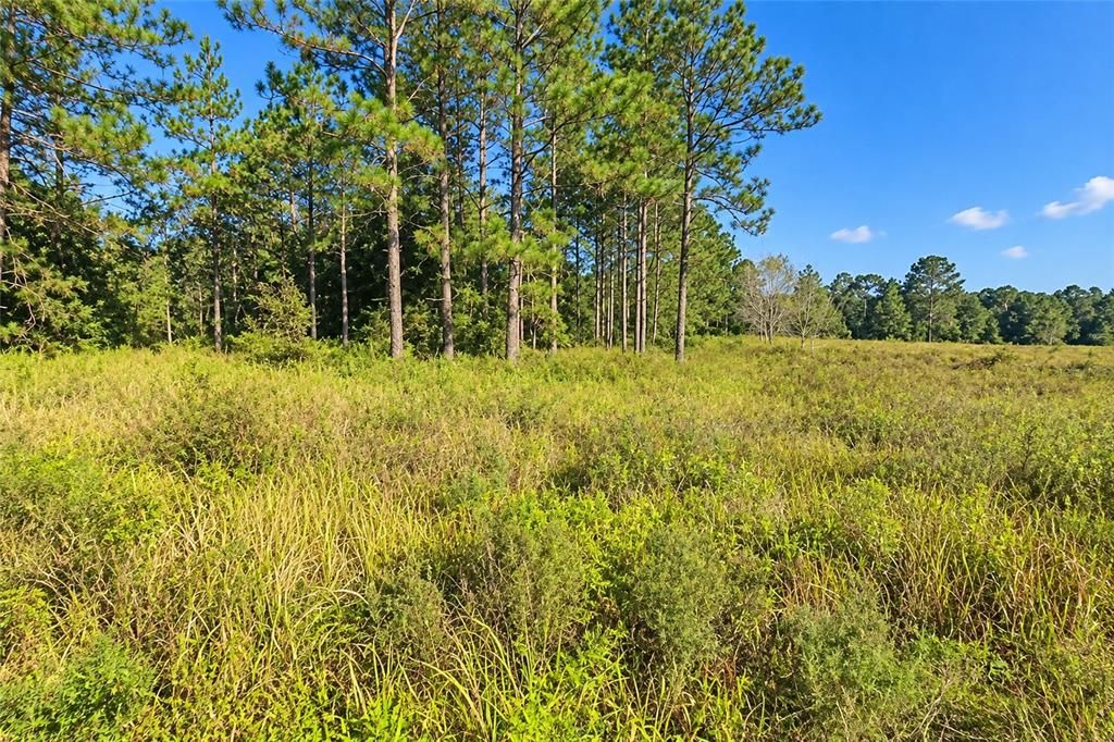 Activo con contrato: $16,000 (0.23 acres)