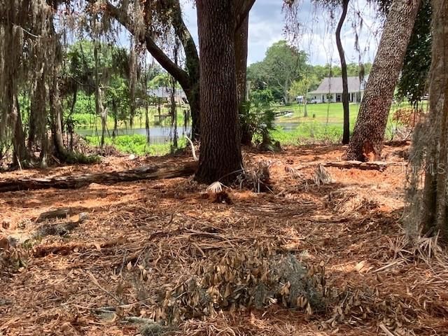 For Sale: $550,000 (1.40 acres)