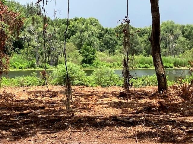 For Sale: $550,000 (1.40 acres)