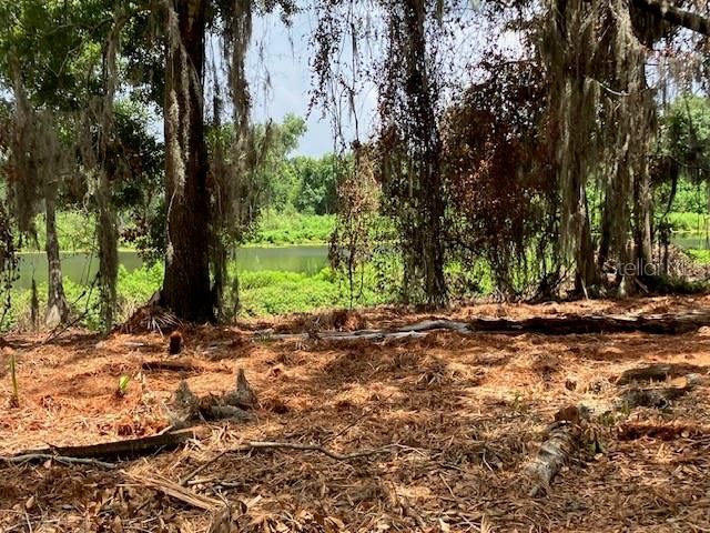 For Sale: $550,000 (1.40 acres)