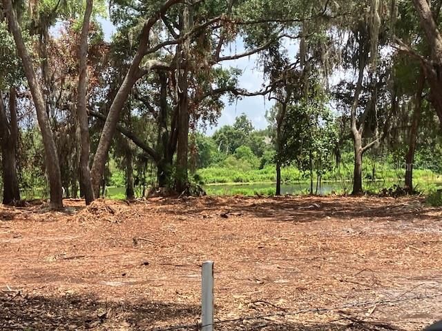 For Sale: $550,000 (1.40 acres)